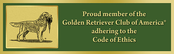 grca code of ethics banner